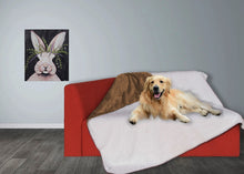 Load image into Gallery viewer, Waterproof Pet Blanket for Couch Bed