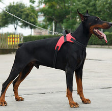 Load image into Gallery viewer, No Pull Dog Harness with Handle