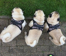 Load image into Gallery viewer, No Pull Dog Harness with Handle