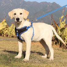 Load image into Gallery viewer, Breathable Mesh Dog Harness for Large Dogs
