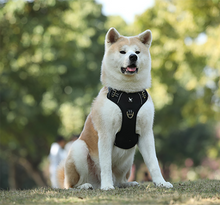 Load image into Gallery viewer, No Pull Dog Harness with 2 Metal Leash Clips