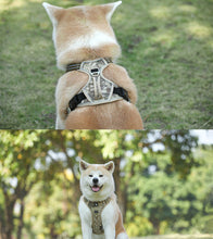 Load image into Gallery viewer, No Pull Dog Harness with 2 Metal Leash Clips