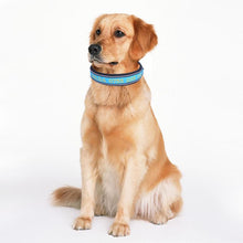 Load image into Gallery viewer, Personalized Dog Collars