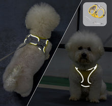 Load image into Gallery viewer, Breathable Mesh Step in Dog Harness
