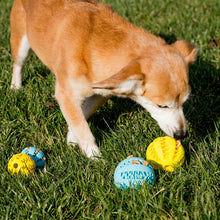 Load image into Gallery viewer, Dog Ball Toys for Pet Tooth Cleaning