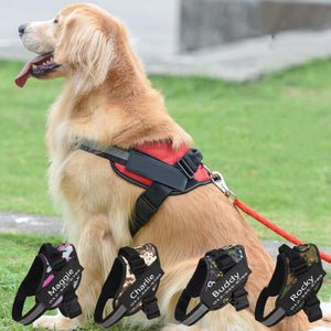 Customizable Dog Harness