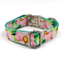 Load image into Gallery viewer, Personalized Dog Collars