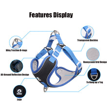 Load image into Gallery viewer, Breathable Mesh Dog Harness for Large Dogs