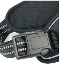 Load image into Gallery viewer, No Pull Dog Harness with 2 Metal Leash Clips