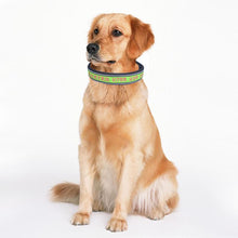 Load image into Gallery viewer, Personalized Dog Collars