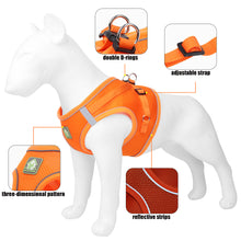 Load image into Gallery viewer, Soft Mesh Dog Harness and Leash Set