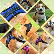 Load image into Gallery viewer, PawHot No Pull Dog Harness
