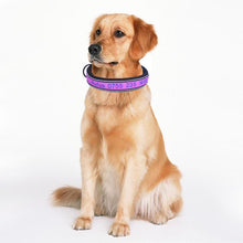 Load image into Gallery viewer, Personalized Dog Collars