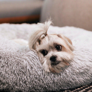 Calming Dog Bed UK-60% Off Today Only