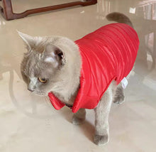 Load image into Gallery viewer, Thicken Solid Dog Coat