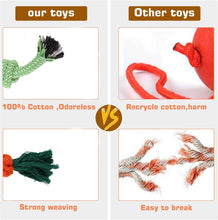 Load image into Gallery viewer, Tough Dog Rope Toys for Puppy