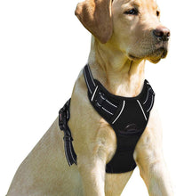 Load image into Gallery viewer, No Pull Reflective Dog Harness