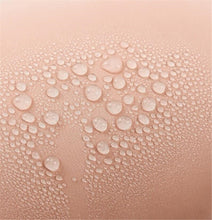 Load image into Gallery viewer, Double Faced Removable Pet Booster Car Seat