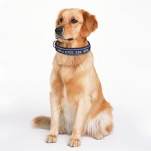 Load image into Gallery viewer, Personalized Dog Collars