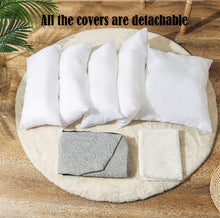 Load image into Gallery viewer, Double Faced Removable Pet Booster Car Seat