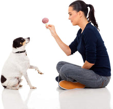 Load image into Gallery viewer, 14 Pack Dog Toys