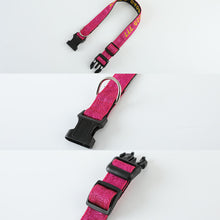 Load image into Gallery viewer, Personalized Dog Collars