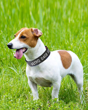 Load image into Gallery viewer, Personalized Dog Collars