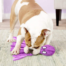 Load image into Gallery viewer, Dog Squeaky Toys Octopus - No Stuffing Crinkle Plush Dog Toys