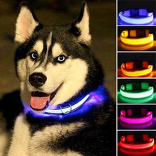 Load image into Gallery viewer, Light Up Dog Collar