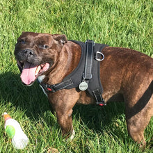 Load image into Gallery viewer, PawHot No Pull Dog Harness