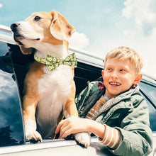 Load image into Gallery viewer, Cat Collar Breakaway with Bell and Bow Tie