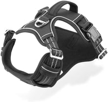 Load image into Gallery viewer, No Pull Dog Harness with 2 Metal Leash Clips