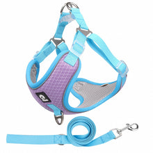 Load image into Gallery viewer, Breathable Mesh Dog Harness for Large Dogs