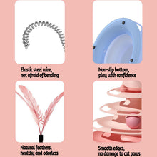 Load image into Gallery viewer, Pet Interactive Fun Roller Exerciser 4 Level Cat Turntable Cat Toys