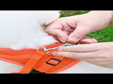 Load and play video in Gallery viewer, Soft Mesh Dog Harness and Leash Set