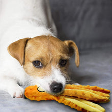 Load image into Gallery viewer, Dog Squeaky Toys Octopus - No Stuffing Crinkle Plush Dog Toys