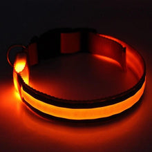 Load image into Gallery viewer, Light Up Dog Collar