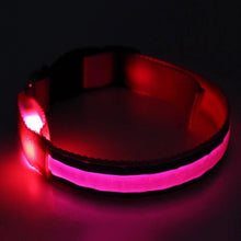 Load image into Gallery viewer, Light Up Dog Collar