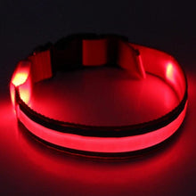 Load image into Gallery viewer, Light Up Dog Collar