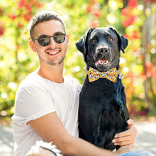 Load image into Gallery viewer, Cat Collar Breakaway with Bell and Bow Tie