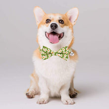 Load image into Gallery viewer, Cat Collar Breakaway with Bell and Bow Tie