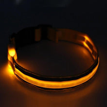 Load image into Gallery viewer, Light Up Dog Collar