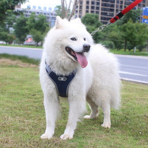 Breathable Mesh Dog Vest Harness