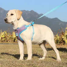 Load image into Gallery viewer, Breathable Mesh Dog Harness for Large Dogs
