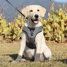 Load image into Gallery viewer, Breathable Mesh Dog Harness for Large Dogs
