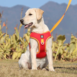 Breathable Mesh Dog Harness for Large Dogs