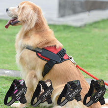 Load image into Gallery viewer, Customizable Dog Harness
