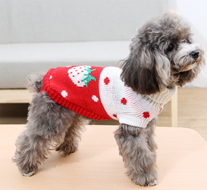 Cartoon Patterned Dog Sweater