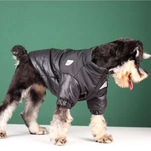 Winter Pet Dog Down Jacket