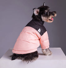 Load image into Gallery viewer, Winter Pet Dog Down Jacket
